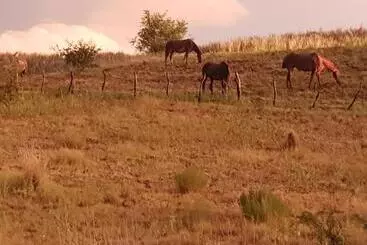 Aamiaismajoitus (B&B) Loft En Casa Particular