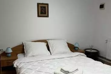 Pension  Casa Guriță