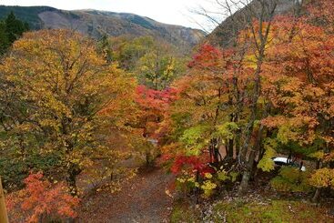 Отель Resort Pension Shikisai