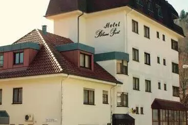 Hotel Blume Post