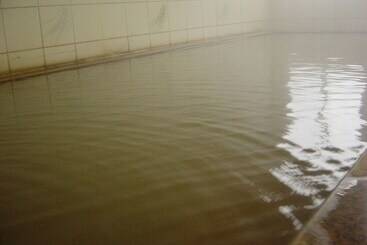 ريوكان Toya Gokirakutei