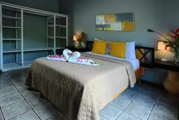 Retkeilymaja Wide Mouth Frog Quepos