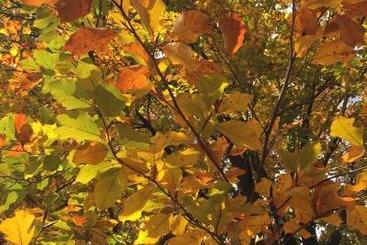 B&b Il Castello Del Ghiro Rent E Bike