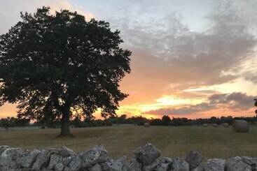 تختخواب و صبحانه Aria Di Casa Country Resort