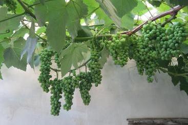 B&b A Casa Delle Zie