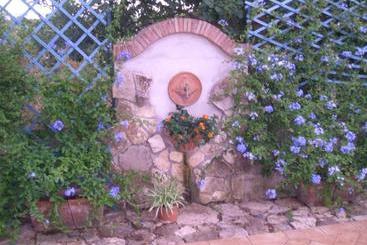 تختخواب و صبحانه Il Glicine Di Carmen