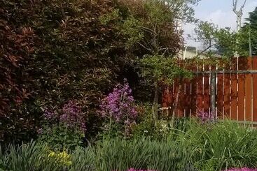 مبيت وإفطار Le Tre Grazie