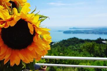 فندق San Michele