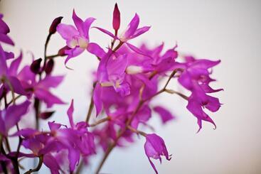 هتل Casa De La Real Aduana Boutique