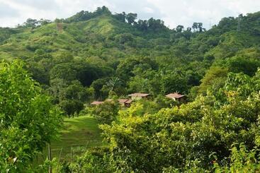Отель Rancho Las Tilapias