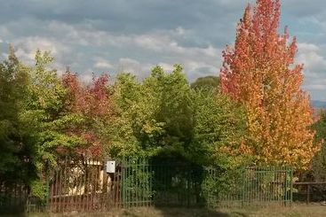 公寓 Woodlands Retreat