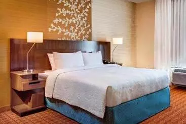 ホテル Fairfield Inn And Suites By Marriott Detroit Canton