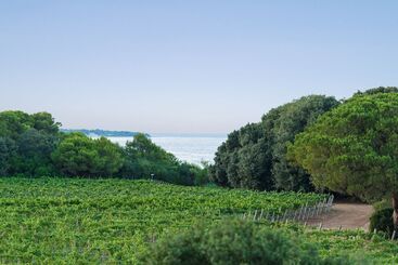 בית מלון כפרי Masseria Mongio Dell Elefante