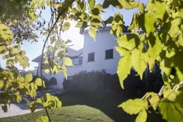 Il Pettirosso B&b