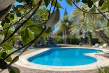 Bed and Breakfast All'ombra Del Palmeto