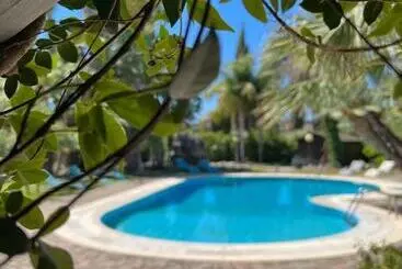 Bed and Breakfast All'ombra Del Palmeto