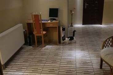 בית מלון כפרי Pansion River