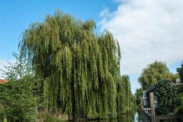 تختخواب و صبحانه Canal Garden Apartment Staywell Amsterdam