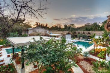 Hotel The Gilded Iguana