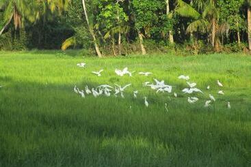 Resort Green Herbal Ayurvedic Ecolodge