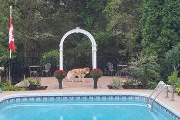 Bed & Breakfast Avonview Manor