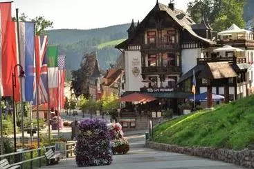 Hotel Pfaff Gmbh
