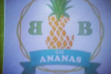 Ananas B&b