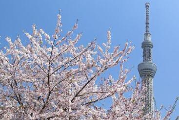 בית מלון כפרי Sakura Sky