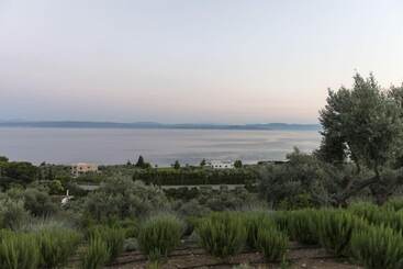 ホテル Elimnion Resort