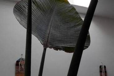 בית מלון כפרי Ryad Les Sultanes