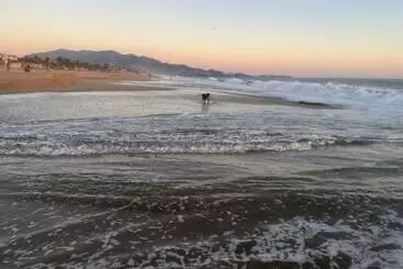 アパートホテル Condominio Agave Del Mar