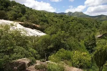 ホテル Phophonyane Falls Ecolodge