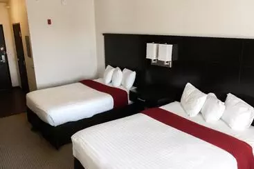 Motelli Black Gold Suites Stanley