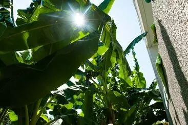 Huoneistohotelli Studios Margarita