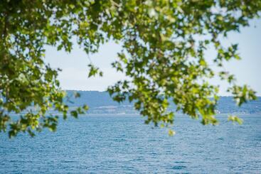 Пансион Malì Trevignano Piccolo