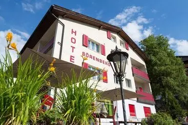 ホテル Sörenberg