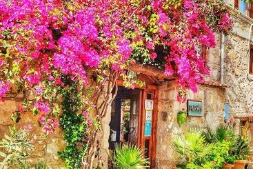 هتل آپارتمان Parmis Boutique House