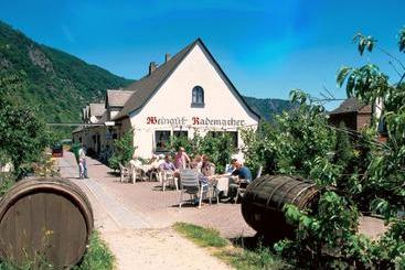پانسیون Weingut Gutsschänke Rademacher