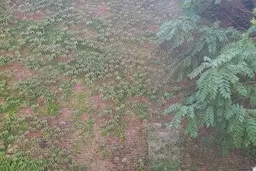 Majatalo The Windsor Inn