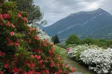 Aparthotel Il Poggio Di Bellagio