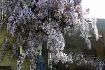 Pensionat B&b Casa Mica Guesthouse