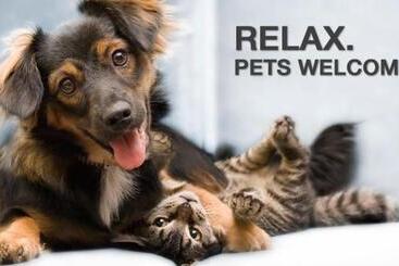 פנסיון Pousada Recanto Da Estrela