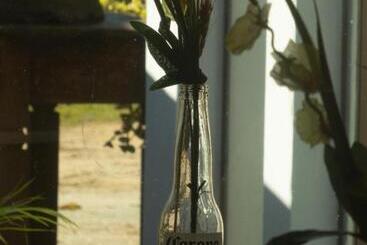 פנסיון Essência Do Sol Pousada