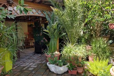 פנסיון Affittacamere Acquamarina