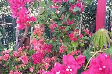 پانسیون Kudehya Guesthouse