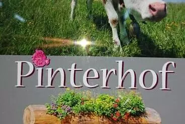 Hotel Pinterhof