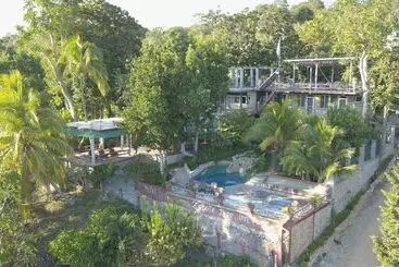 هاستل Zapote Tree Inn