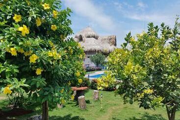 Pension (Hôtel basse catégorie) Palomino Breeze Hostal