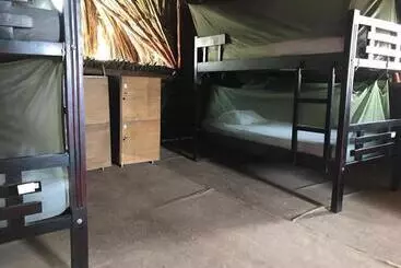 ペンション Palomino Breeze Hostal