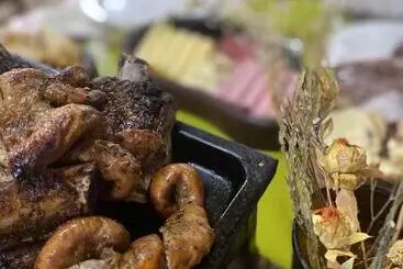 Retkeilymaja Don Romulo